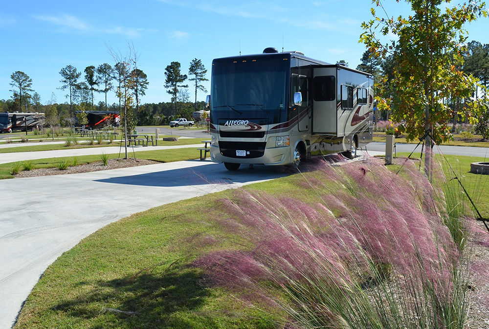 SC CarolinaPines Gallery