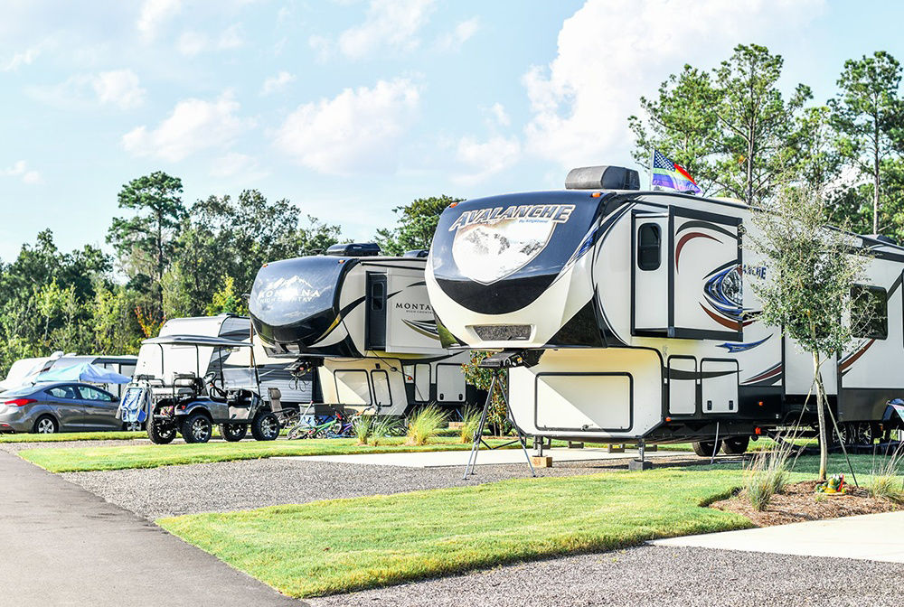 SC CarolinaPines Gallery