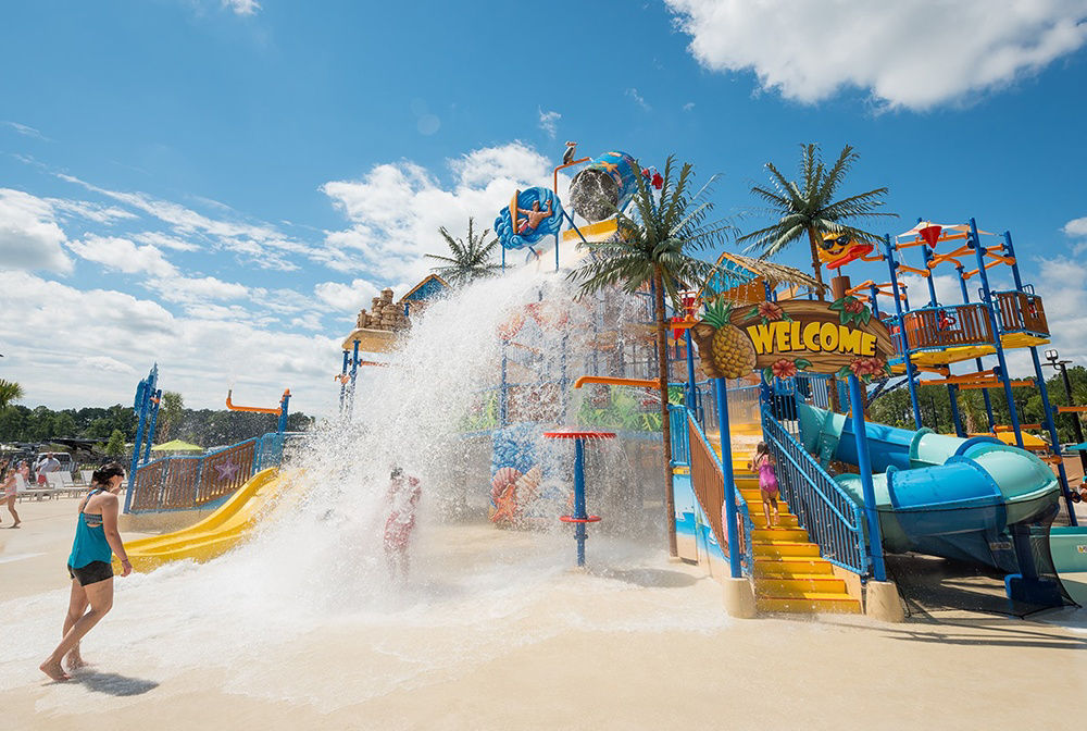 SC CarolinaPines Gallery