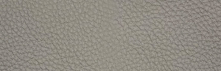 Dutch Star 35th Anniversary - Heritage Grey