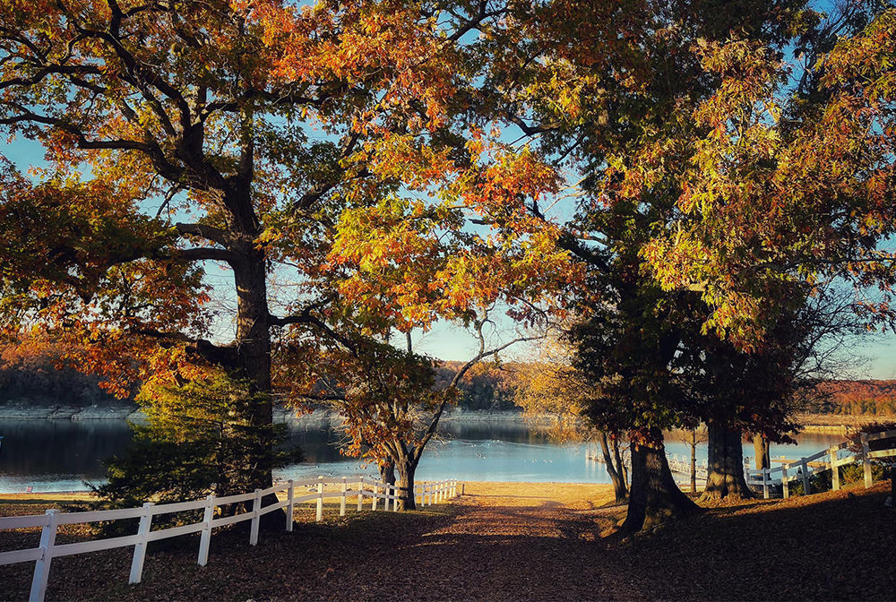 AR OzarksLuxuryRVResort 7 Gallery