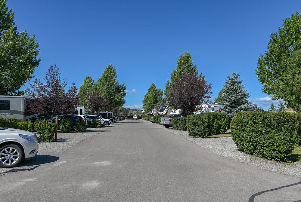 CAN AB BowRiversEdgeCampground 18 Gallery