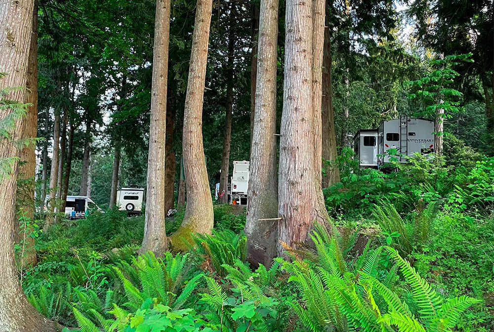 CAN BC LivingForestRVCampground 53 Gallery