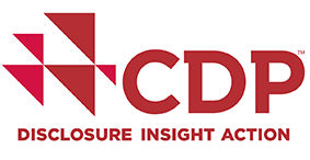 Disclosure Insight Action Logo