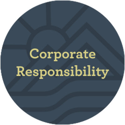 Corporate responsibility icon