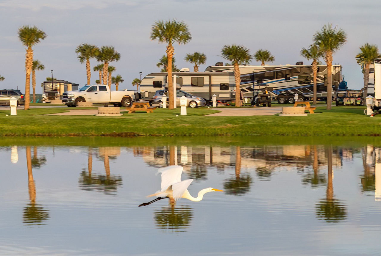 TX CampMargaritavilleResortCrystalBeach Gallery9