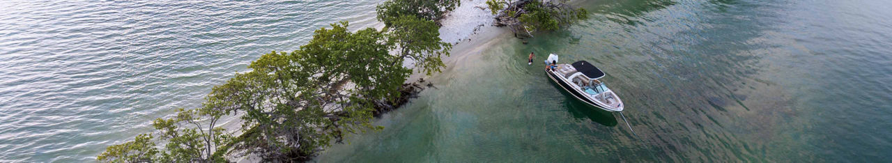 Boat near the shore