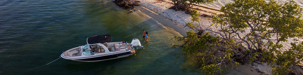 Boat near the shore