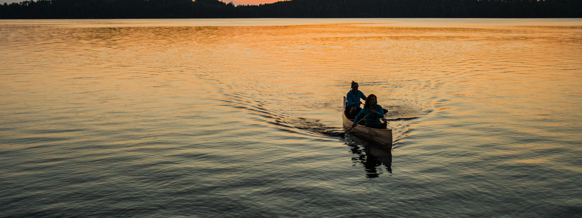 lee vue JbSFVtr14PA unsplash