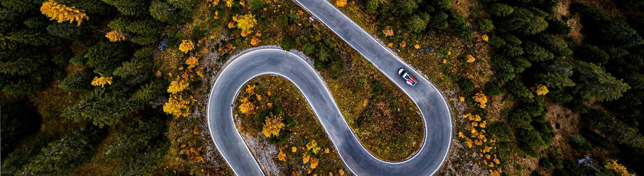 Road through the woods